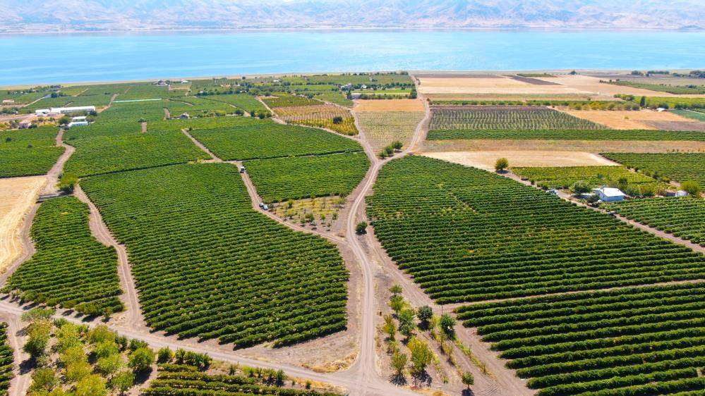 Konya’nın mühendis çiftçisi! 2 gün çalışıp paraya para demiyor 10